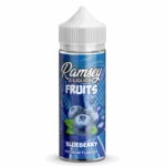ramsey-blueberry-100-ml-shortfill-vapespecialisten