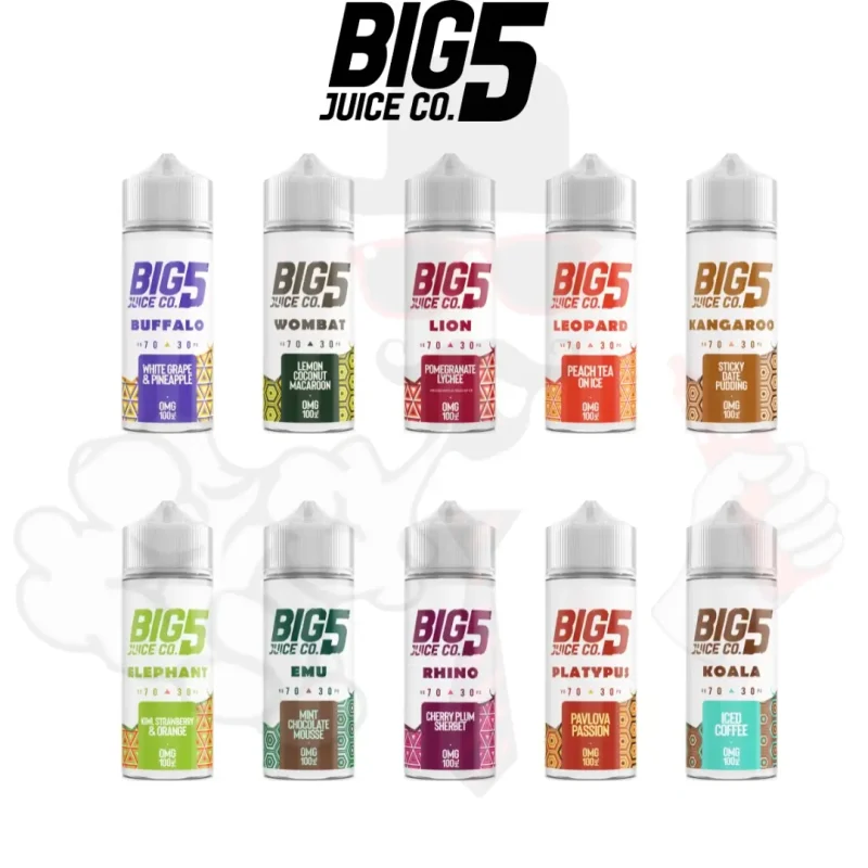 BIG 5 100ml